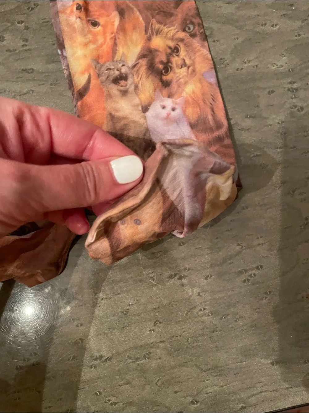 Women’s Cat Print Stretch stockings in various colors